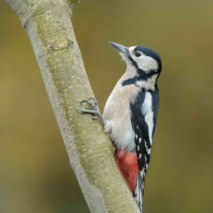 Untitled (41 Of 214).jpg